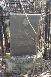 Мееров Владимир Моисеевич, Москва, Востряковское кладбище